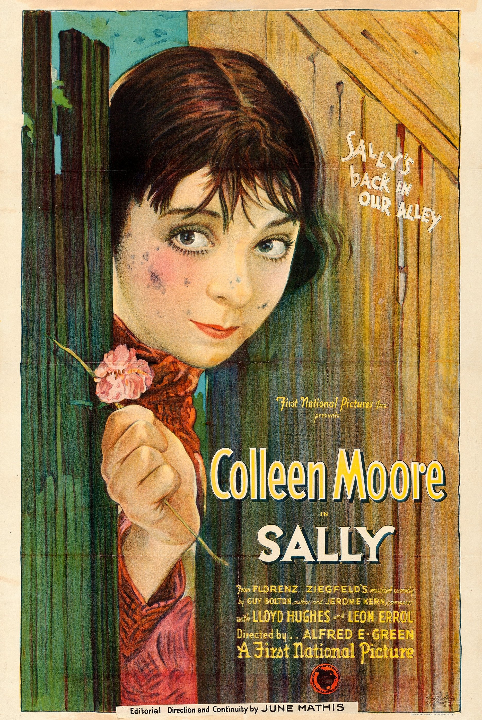 Постер Sally